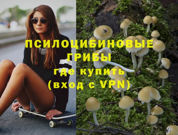метадон Коряжма